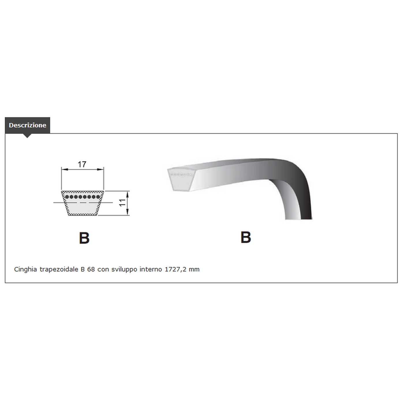 CINGHIA TRAP. sezione B