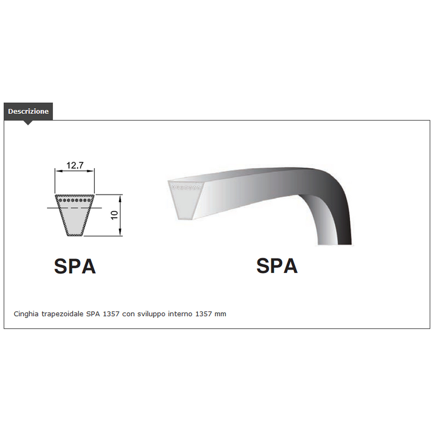CINGHIA TRAP. sezione SPA