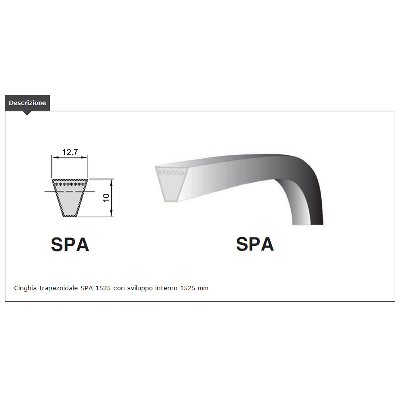 CINGHIA TRAP. sezione SPA