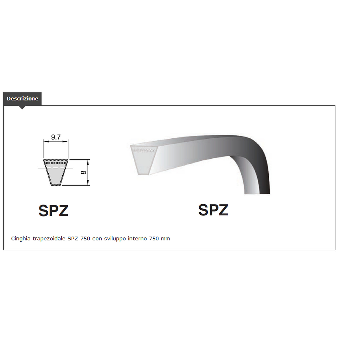 CORREA TRAP. sección SPZ