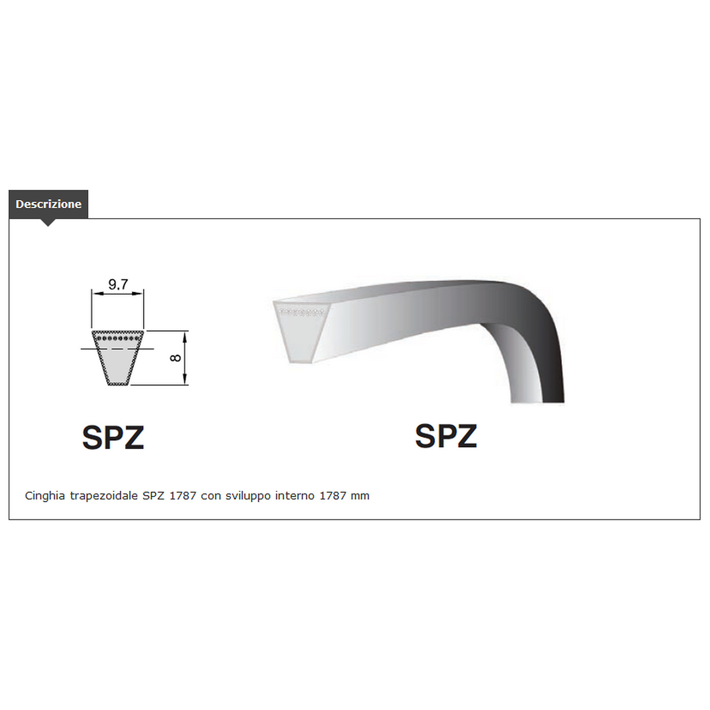 CORREA TRAP. sección SPZ