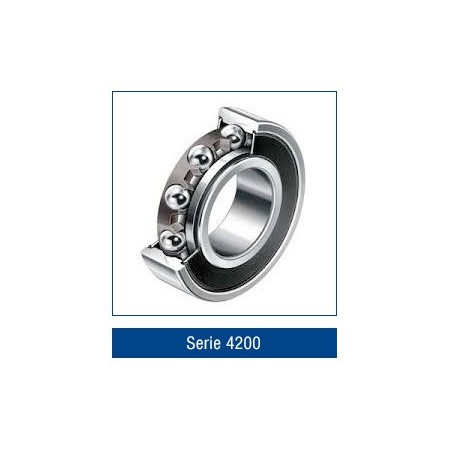 Serie 4200