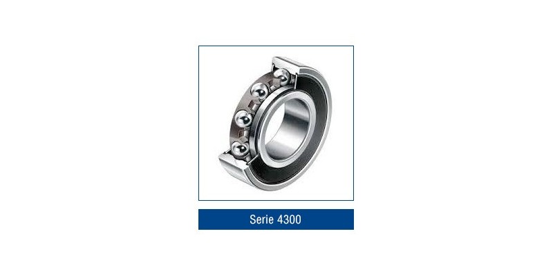 Serie 4300 - www.friulanacuscinetti.it